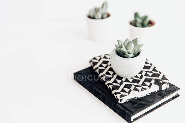 Cacti e cadernos em uma mesa — Fotografia de Stock