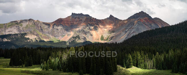 Forest and San Juan Mountains, San Juan National Forest, Colorado, États-Unis — Photo de stock