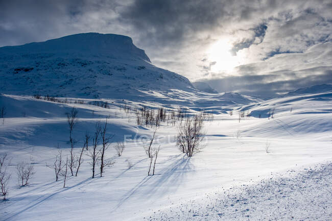 Paysage hivernal, Parc national d'Abisko, Laponie suédoise, Kiruna, Suède — Photo de stock