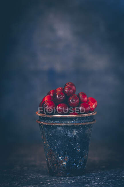 Cranberries em uma xícara enferrujada — Fotografia de Stock