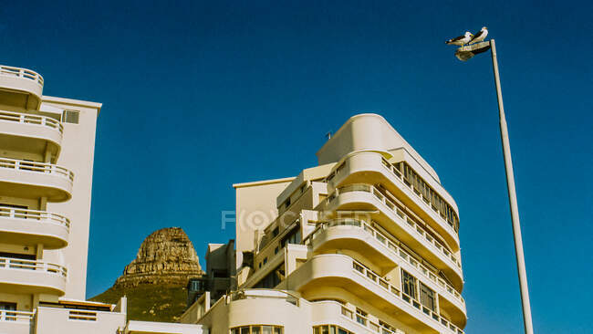 Вид на львиную голову между зданиями, Кейптаун, Западный Кейп, Южная Африка — стоковое фото