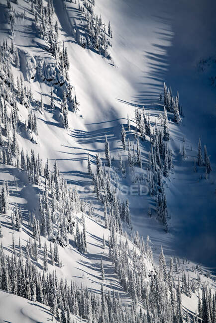 Paisagem coberta de neve nos Kootenays perto de Kaslo, Colúmbia Britânica, Canadá — Fotografia de Stock