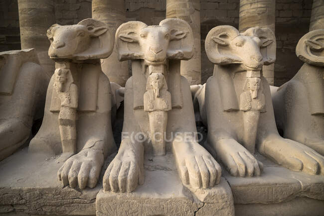 Estatuas en el Templo de Karnak, Karnak, Luxor, Egipto - foto de stock
