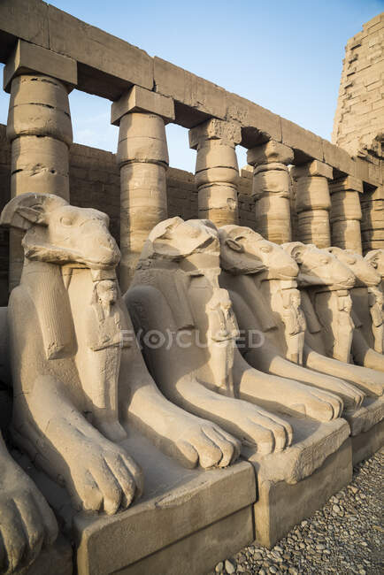 Estatuas en el Templo de Karnak, Karnak, Luxor, Egipto - foto de stock