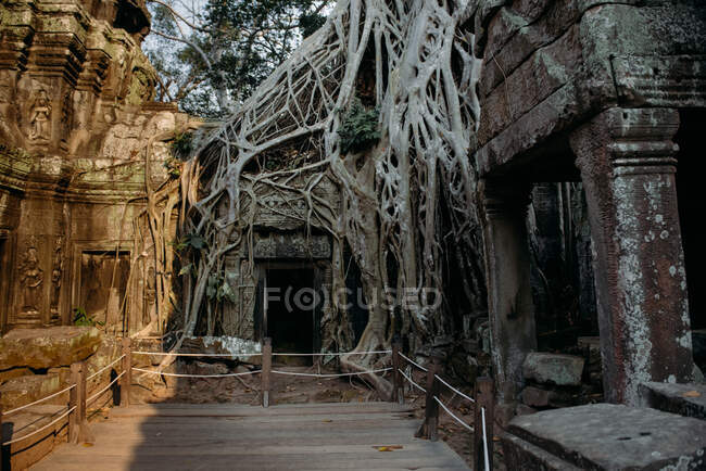 Ruinas del templo, Angkor Wat, Siem Reap, Camboya - foto de stock