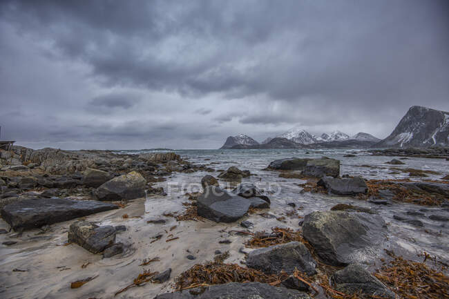 Paisagem costeira, Flakstad, Lofoten, Nordland, Noruega — Fotografia de Stock