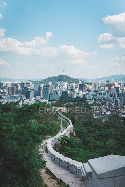 Cityscape and N Seoul Tower on Namsan mountain, Seoul, South Korea — стокове фото