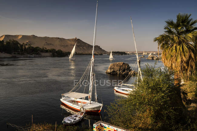 Barcos turísticos y Feluccas, Isla Elefantina, Asuán, Egipto - foto de stock