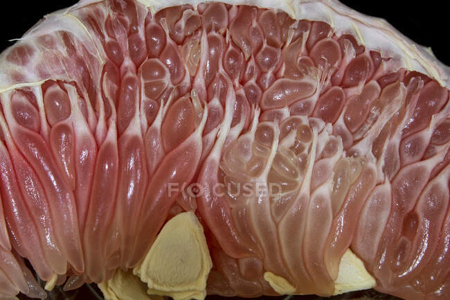 Close-up of a grapefruit segment — Stock Photo