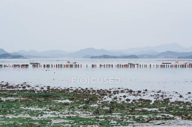 Les gens marchent dans l'océan au Festival de séparation de la mer de Jindo, Jindo, Corée du Sud — Photo de stock