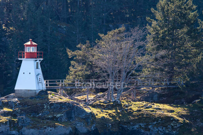 Leuchtturm an der Küste auf Felsen, Golfinseln, British Columbia, Kanada — Stockfoto