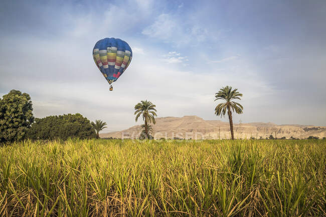 Hot air balloons flying over city, Luxor, Egypt — Stock Photo