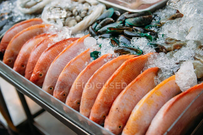 Крупный план свежей рыбы и моллюсков на рынке, Бангкок, Таиланд — стоковое фото