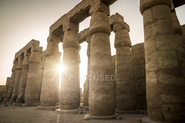 Колонны в храме Луксора, Луксор, Египет — стоковое фото
