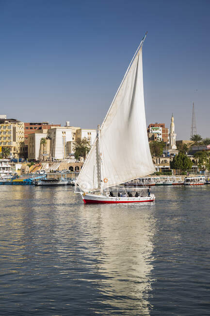Barco Felucca navegando por el río Nilo cerca de la isla Elefantina, Asuán, Egipto - foto de stock