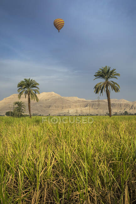 Globo de aire caliente volando sobre el Valle de los Reyes, Luxor, Egipto - foto de stock