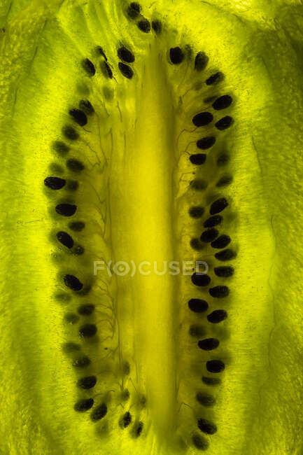 Close-up de uma fruta kiwi — Fotografia de Stock