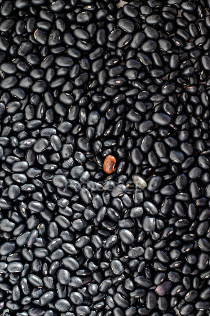 Червона квасоля серед чорних бобів — стокове фото