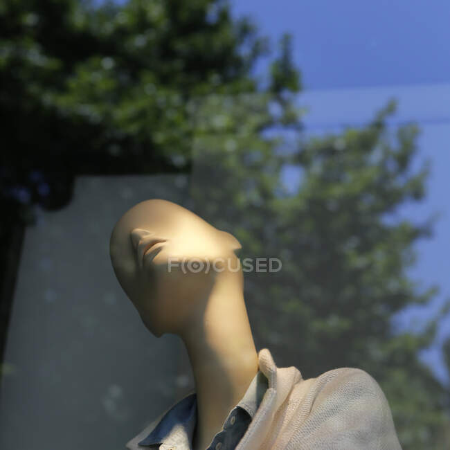 Mannequin in a shop window and reflection of a tree — Stock Photo