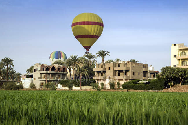 Balões de ar quente em voo, Luxor, Egito — Fotografia de Stock