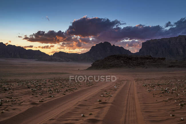 Reifenspuren in der Wüste, Wadi Rum, Jordanien — Stockfoto