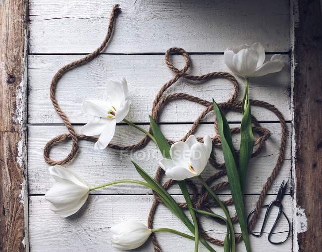 Tulipanes blancos y cuerda sobre fondo de mesa de madera - foto de stock