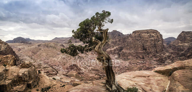 Paisagem montanhosa perto de Petra, Jordânia — Fotografia de Stock