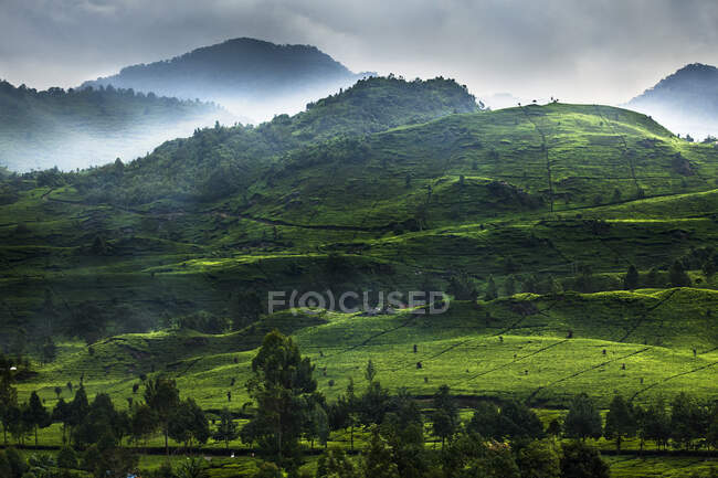 Forêt tropicale et paysage de montagne, Indonésie — Photo de stock