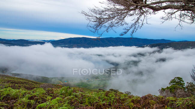 Névoa sobre montanhas Arfak e lagos Anggi, Papua Ocidental, Indonésia — Fotografia de Stock