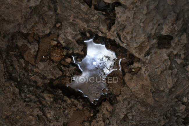 Landscape reflection in a forest puddle, Majorca, Spain — Stock Photo