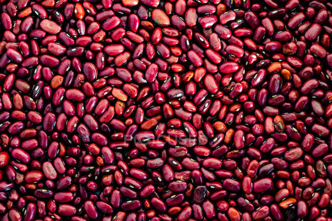 Vue rapprochée des haricots rouges — Photo de stock