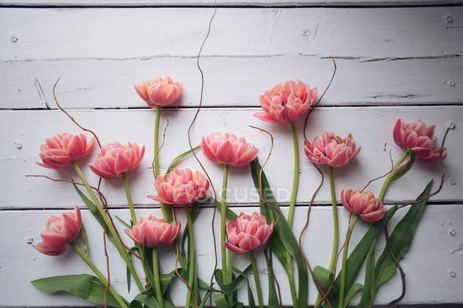 Tulipanes rosados sobre una mesa de madera - foto de stock
