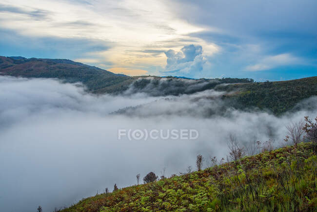 Niebla sobre las montañas Arfak y los lagos de Anggi, Papúa Occidental, Indonesia - foto de stock
