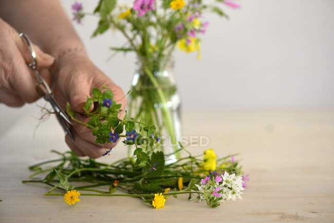 Mujer arreglando flores silvestres en un jarrón - foto de stock