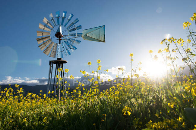 Tiro cênico de moinho de vento de estilo americano — Fotografia de Stock