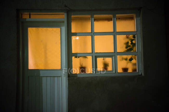 Silhouette de plantes sur un rebord de fenêtre à l'intérieur d'une maison — Photo de stock