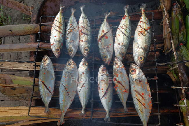 Grilled fish on a barbecue, Indonesia — Stock Photo