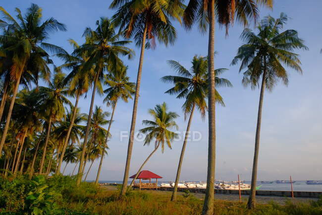 Пляж Пасанґкаю, Сулавесі, Індонезія — стокове фото