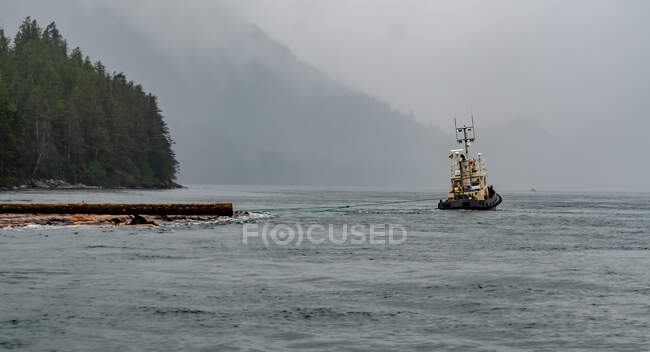 Barco puxando logs, Colúmbia Britânica, Canadá — Fotografia de Stock