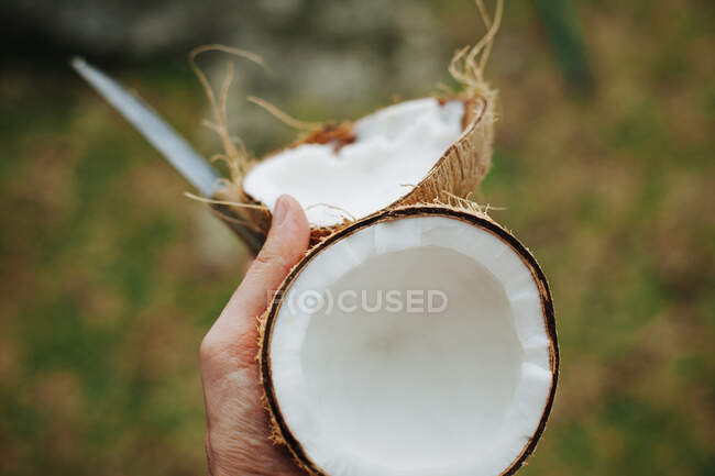 Человек, вскрывающий кокос, Сейшелы — стоковое фото