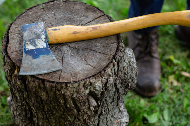 Man standing next to an axe on a stump of wood, United States — Stock Photo