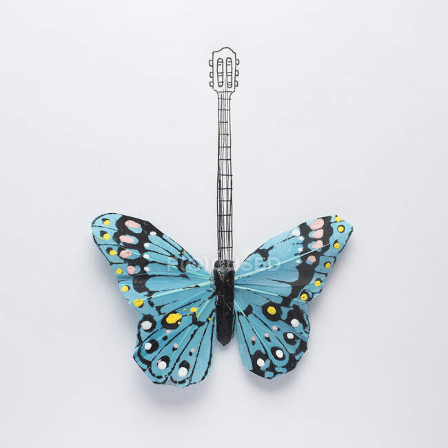 Schmetterling auf weißem Hintergrund — Stockfoto