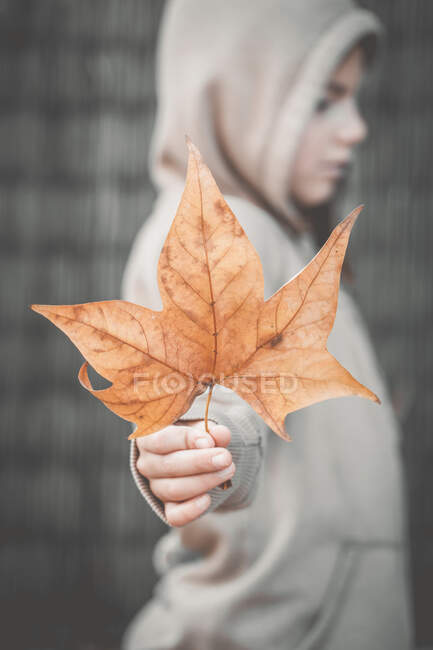 Niño con sudadera con capucha sosteniendo una hoja de otoño, España - foto de stock