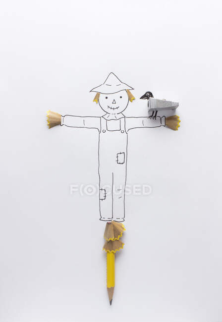 Conceptual bird perched on the arm of a scarecrow — Stock Photo