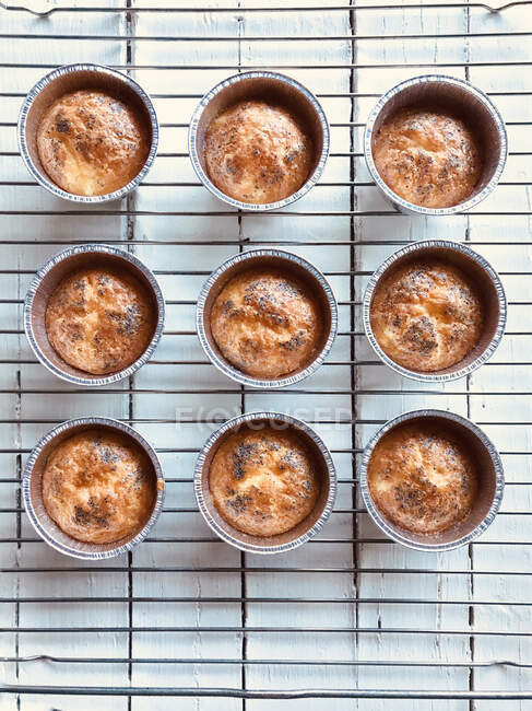 Magdalenas saladas con semillas de amapola en el molde para hornear, vista cercana - foto de stock