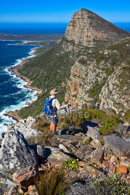 Mann wandert am Cape of Good Hope Hiking Trail, Western Cape, Südafrika, vorbei an Wildblumen — Stockfoto