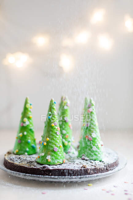 Piece of chocolate cake decorated with a Christmas tree — Stock Photo