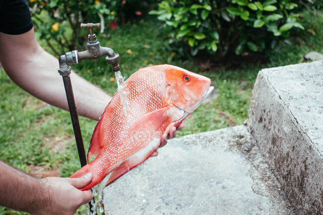 Pêche, saumon avec du poisson sur le fond — Photo de stock