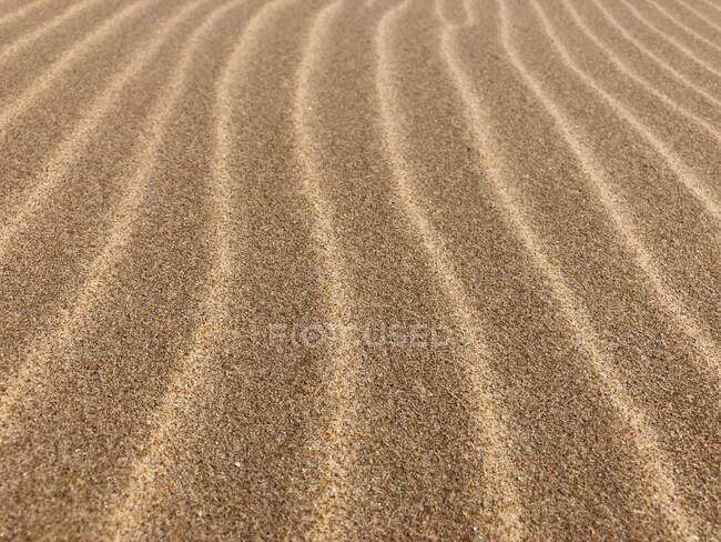 Sand texture, background, copy space — Stock Photo