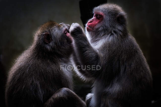 Close up of a young couple — Stock Photo